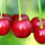 Repeat Offenders Cherry-pick The ($)Science