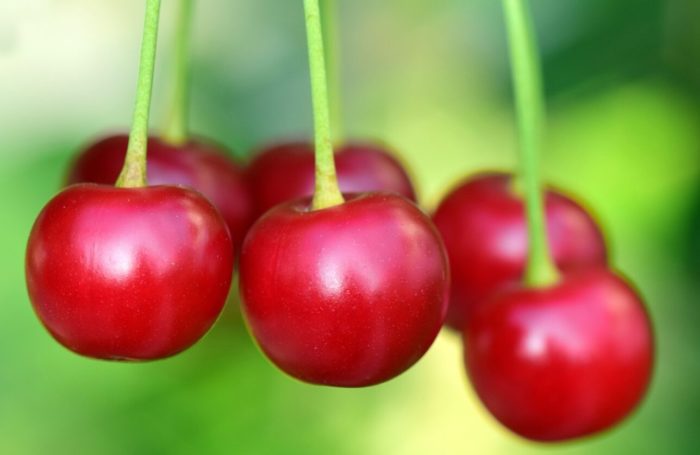 Repeat Offenders Cherry-pick The ($)Science