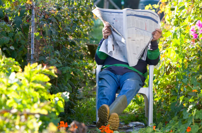 Five Ways to Use Your Garden to Support Your Wellbeing