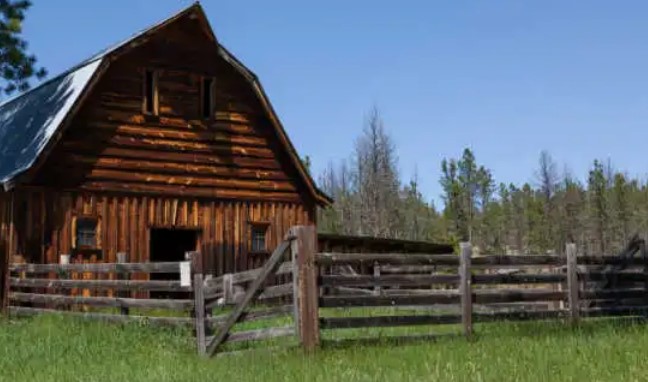 6 Mistakes To Avoid When Buying Land For the Homestead