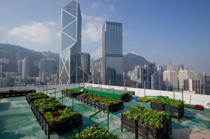 At The Top Of A Tower In Hong Kong Grows A Luscious Garden!