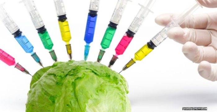 “Lettuce” to Vaccinate You and Other Reasons You Can’t Trust the Food Supply