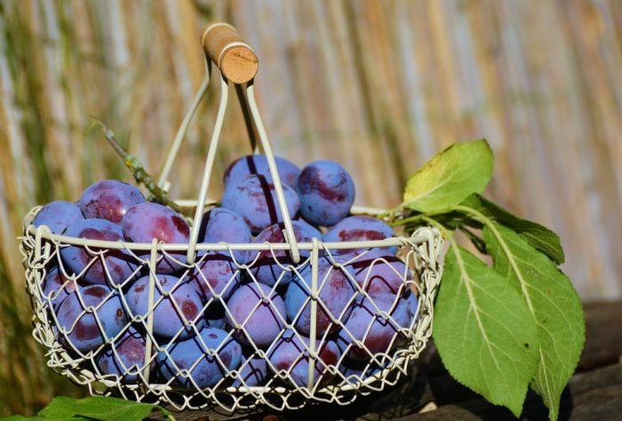 11 Reasons to Love Plums
