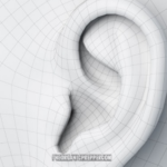 The World Health Organization Has EARS?