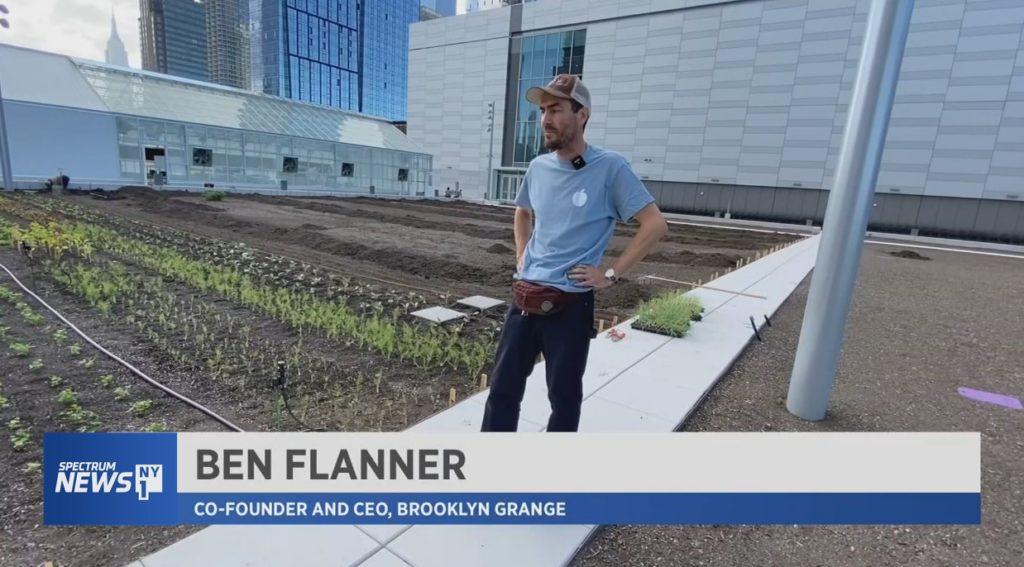 Brooklyn Grange: World’s Largest Rooftop Farm Ben-f-1024x567