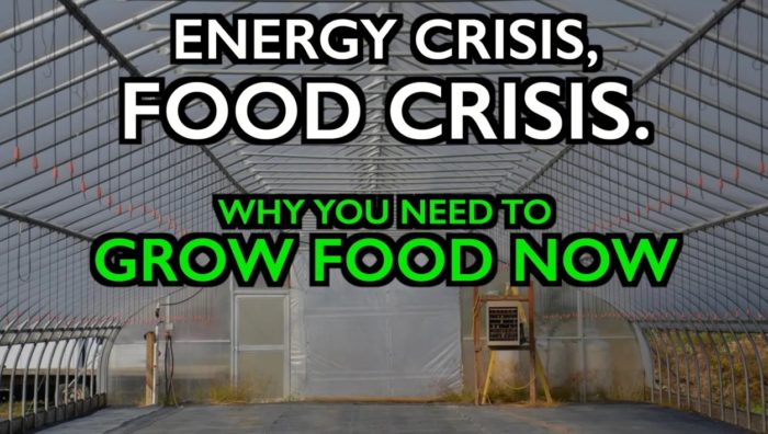 Energy Crisis Becomes a Food Crisis — Grow Food and Build Local Food Systems Now!