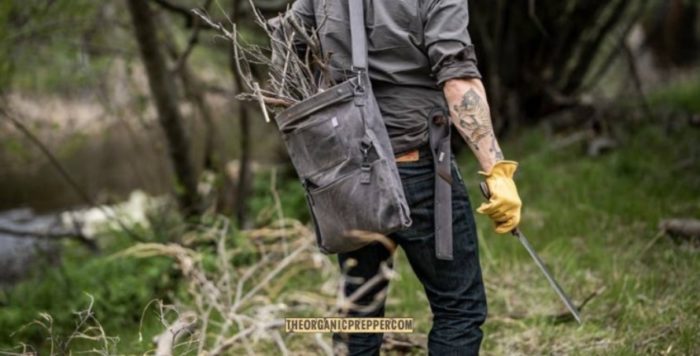 Here’s What You Need to Build a Forager’s Toolkit