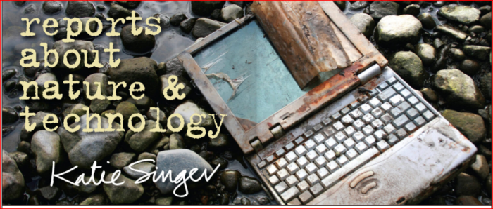 Technology’s Impacts on Nature October 2021 Newsletter from Katie Singer