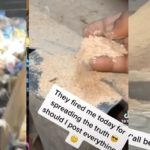 Worker Exposes How Pigs Are Fed Plastic And Paper And Got Fired For Doing So — Claim