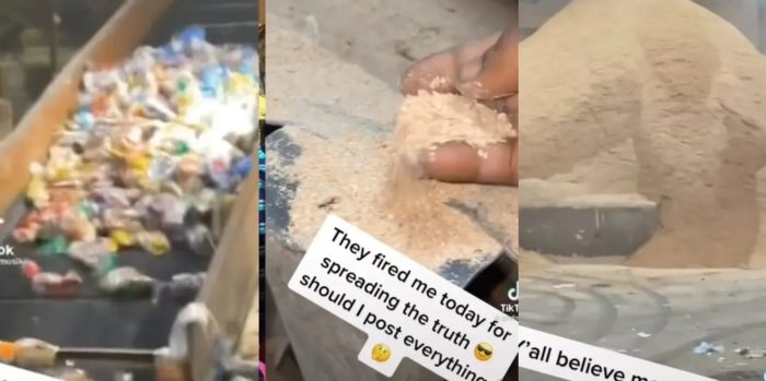 Worker Exposes How Pigs Are Fed Plastic And Paper And Got Fired For Doing So — Claim