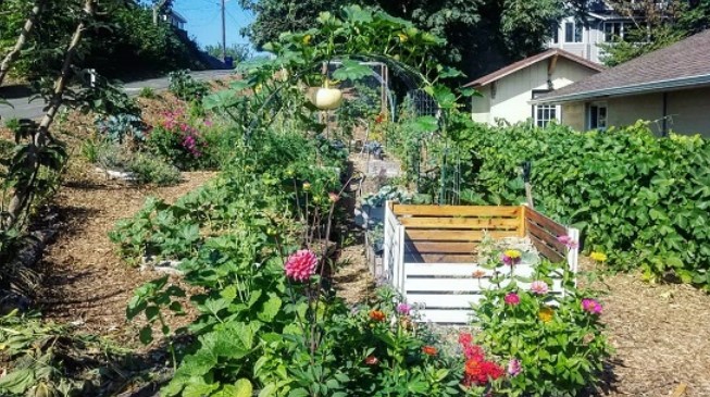One Solution to Soaring Food Prices: Start Your 2022 Garden Now