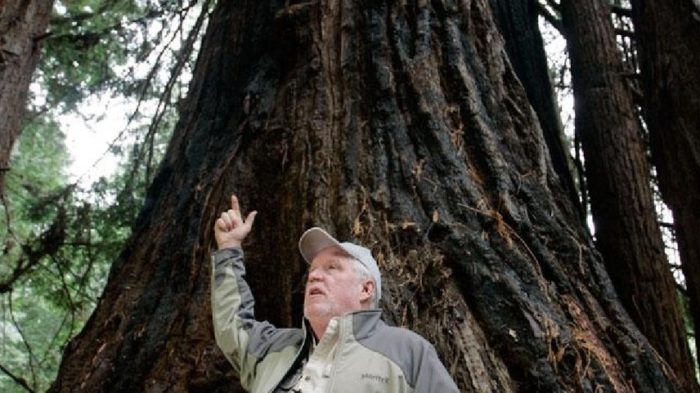 The Man Who Restores Trees To Save The Planet