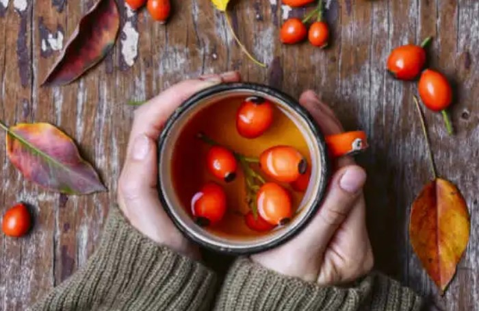 3 Benefits for Using Rosehips to Boost the Immune System