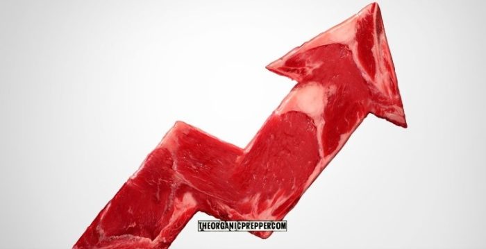 Meat Prices are SKYROCKETING. Here’s How to Get Ready.