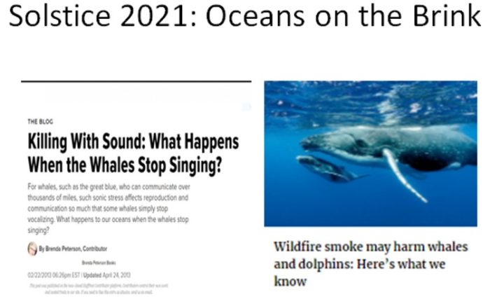 Solstice 2021: Whales and Collective Consciousness vs. “Smart” Oceans,  Internet of Underwater Things, and Annihilation by Technology