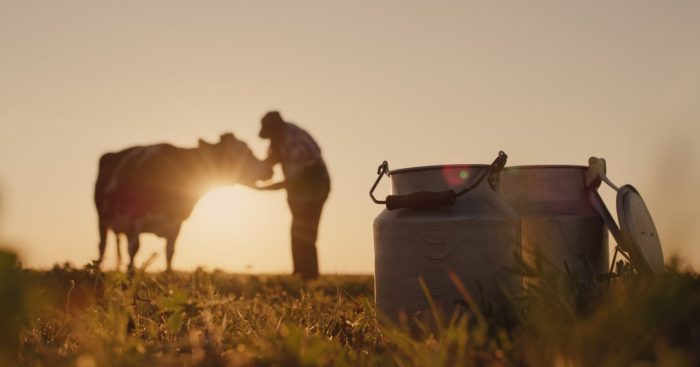 The Dark Truth About America’s Agricultural System