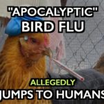 UK: “Apocalyptic Bird Flu” Jumps to Humans as Authorities Cull Millions of Birds