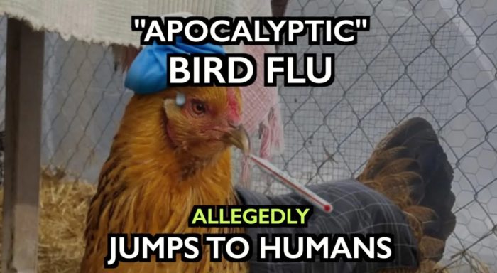 UK: “Apocalyptic Bird Flu” Jumps to Humans as Authorities Cull Millions of Birds