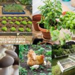 22 Ways to Boost Food Production in 2022