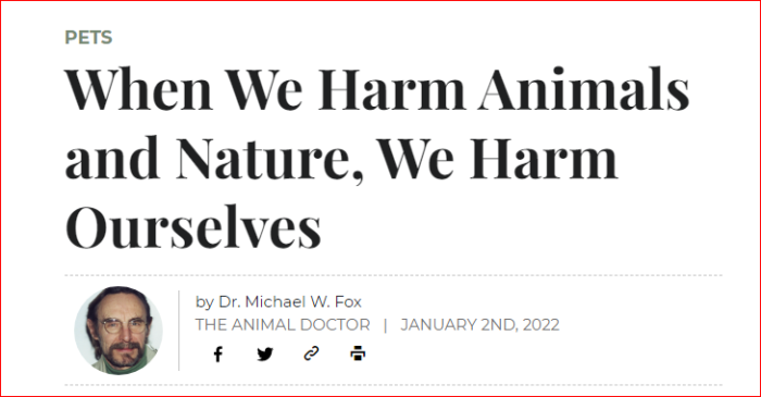 5G/EMF/RF/ IOUT Electropollution: Existential Threat to Public Health, Companion Animals and Life on Earth? Part 2 of 3: Radio Collars