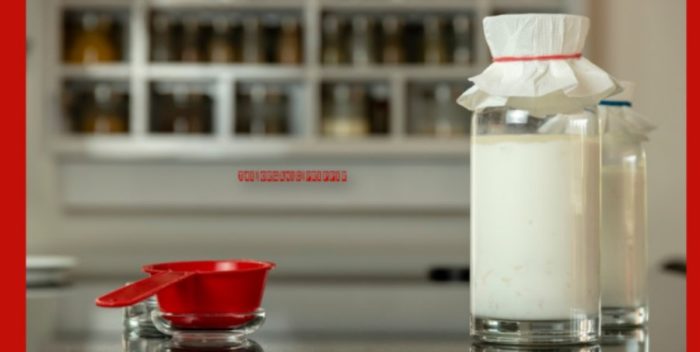 Homemade Kefir: The Ultimate Self-Sufficient Probiotic