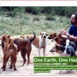 5G/EMF/RF/ IOUT Electropollution: Existential Threat to Public Health, Companion Animals and Life on Earth Part 1 of 3