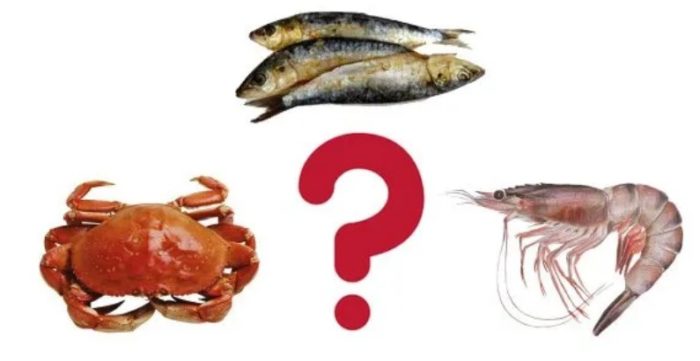 Scientists Find Microplastics In Most Seafood But Which Type Has The Highest Amount?