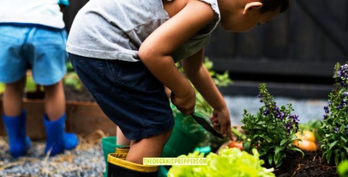 Teaching Self-Sufficiency to Our Kids Via Gardening
