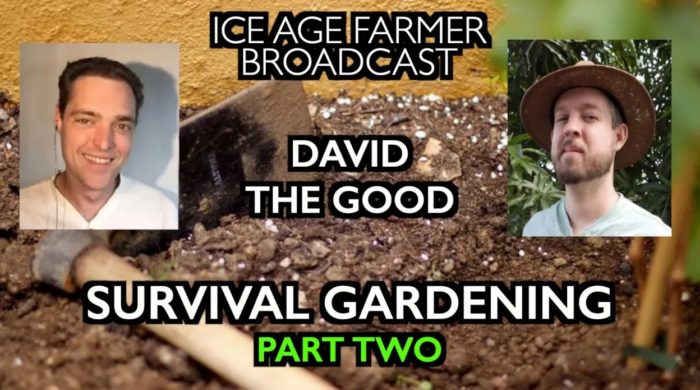 David the Good: Survival Gardening – Without a Supply Chain! (part two)
