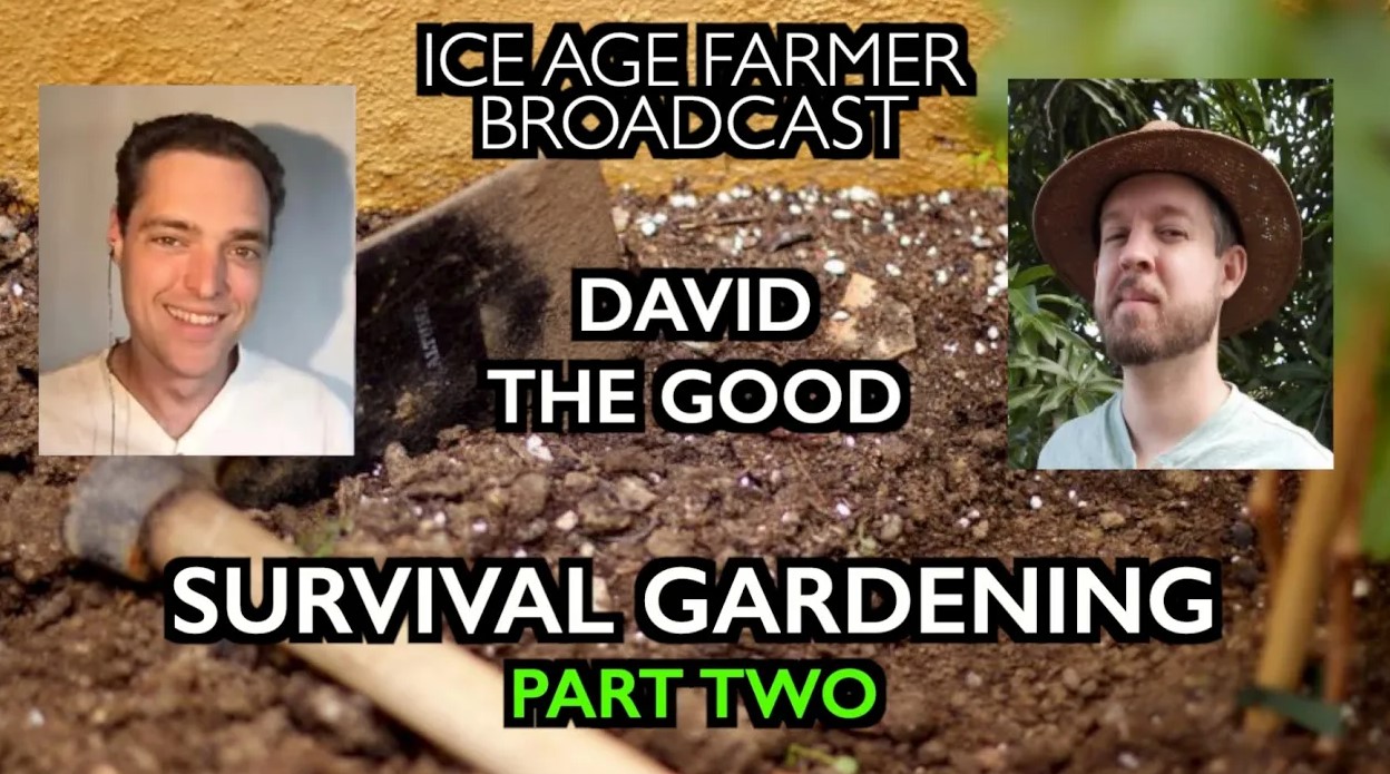 David the Good: Survival Gardening - without a Supply Chain! (part one & two) Sg-part-2