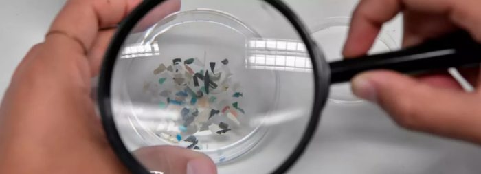 In World-Historic First, Microplastics Detected in Human Blood