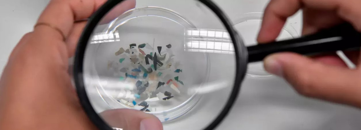 In World-Historic First, Microplastics Detected in Human Blood Micro-blood
