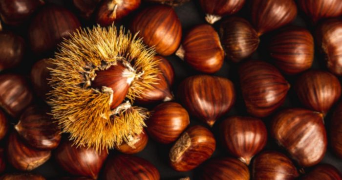 5 Health Benefits of Chestnuts