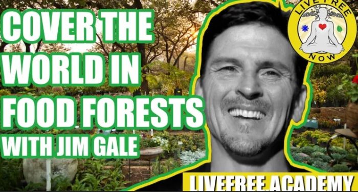 Jim Gale On How And Why We Should Cover the World in Food Forests