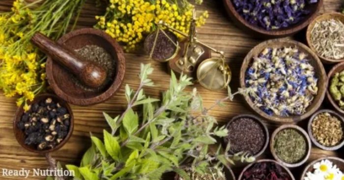 The Many Benefits Of Starting An Herb Garden