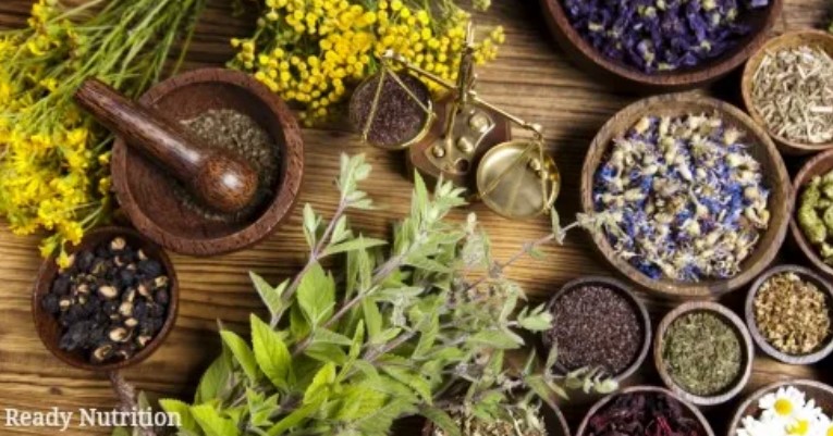 The Many Benefits Of Starting An Herb Garden Herb-garden-