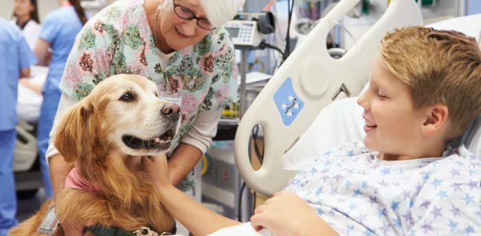 Pet Therapy: How Dogs, Cats and Horses Help Improve Human Wellbeing