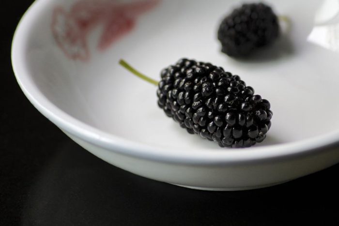 Surprising Health Benefits of Black Raspberries