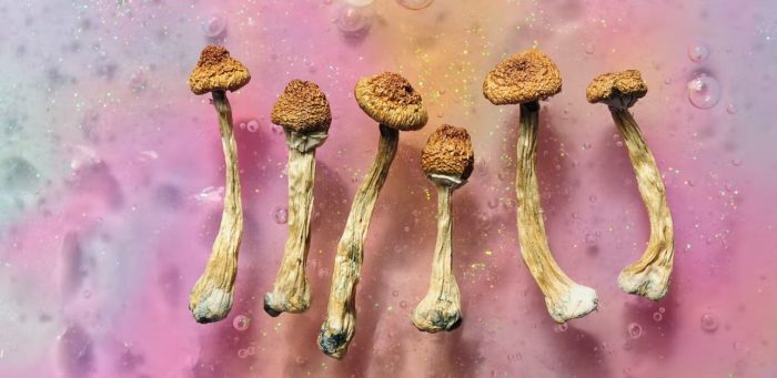 Psychedelics: How They Act on the Brain to Relieve Depression