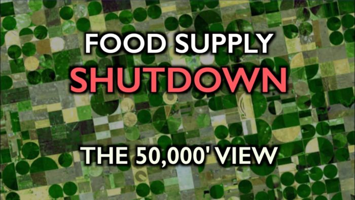 Food Supply Shutdown: Deer, Fish, Pigs Euthanized; Crops Not Planted