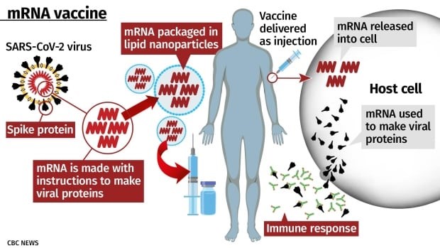 How COVID mRNA Shots Can Cause Diseases