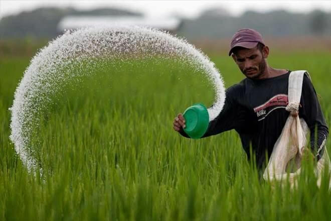 EU Says Africa Should Stop Buying Russian Fertilizer — But Can’t Make It Themselves