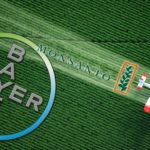 US Supreme Court Declines Bayer/Monsanto Bid to Challenge Glyphosate Cancer Rulings