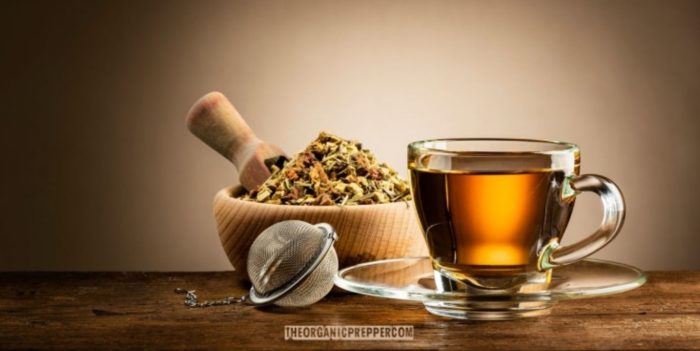 Make Your Own Respiratory Relief Tea