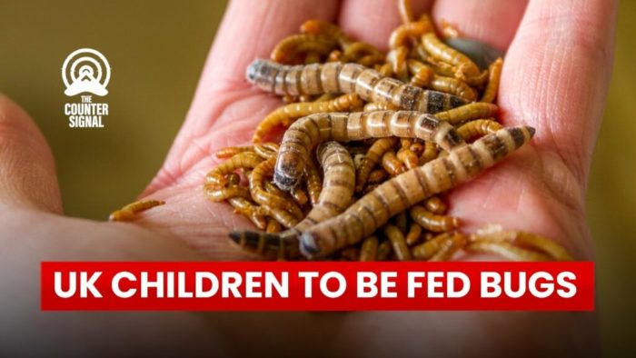 UK School Children to be Fed Bugs to Stop Climate Change