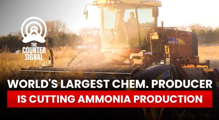 World’s Largest Chemical Company Announces Major Cuts to Ammonia Production