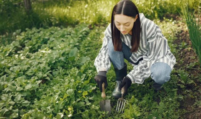 Green Thumb, Less Blues: Study Finds Gardening Benefits Mental Health