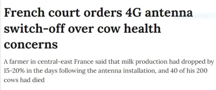 EMF/RF/5G; Pittsfield Tower Update, If Only Amelia and Her Family Were French Cows!