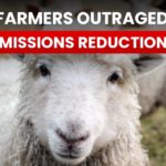 Irish Farmers Outraged Over 25% Emissions Reduction Plan That Will Lead to Herd Culling