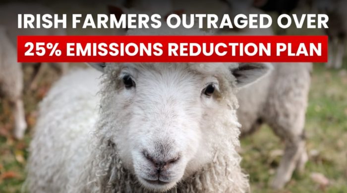 Irish Farmers Outraged Over 25% Emissions Reduction Plan That Will Lead to Herd Culling